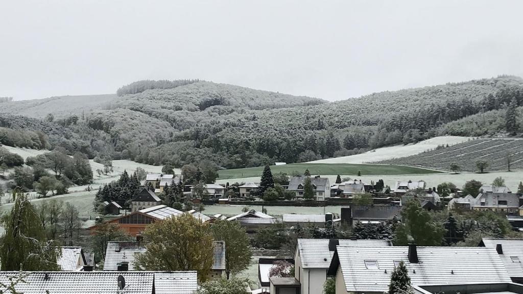 Apartamento Natur Pur Im Schoenen Sauerland Allendorf  Exterior foto