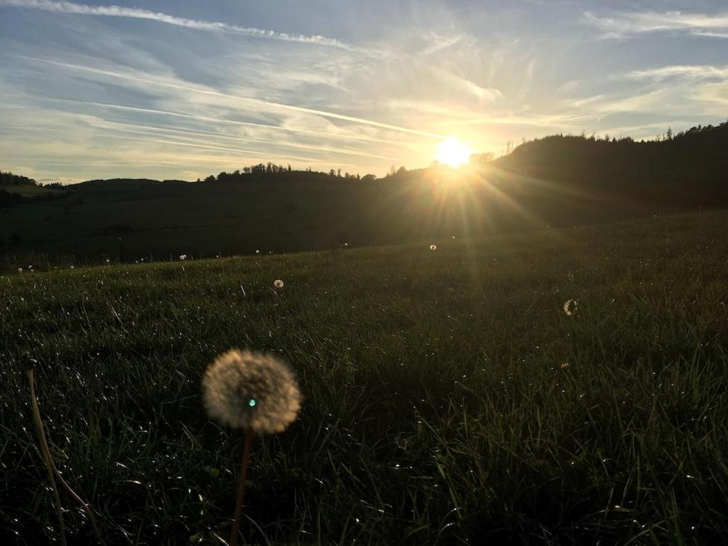 Apartamento Natur Pur Im Schoenen Sauerland Allendorf  Exterior foto